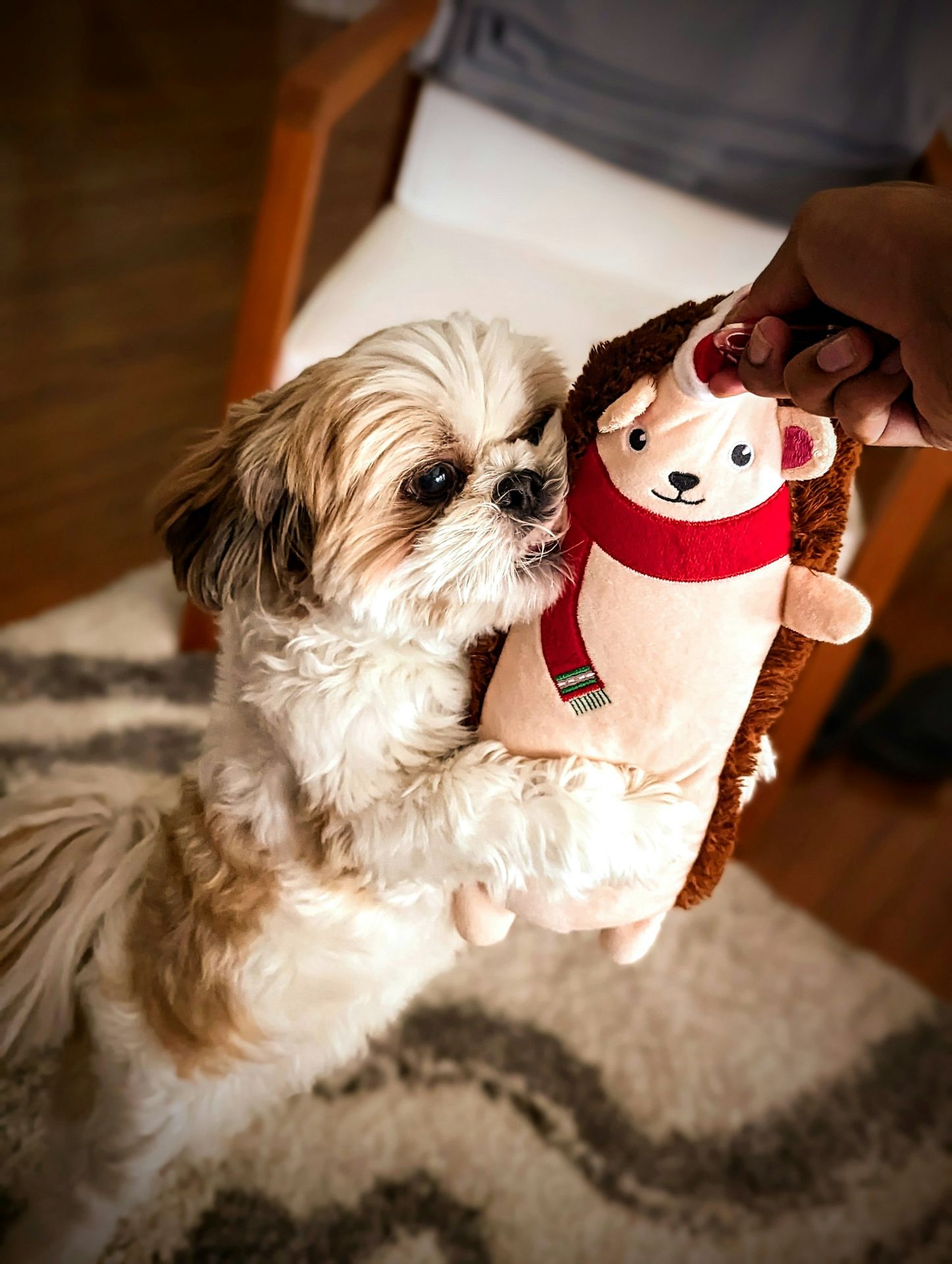 a small dog is holding a stuffed animal